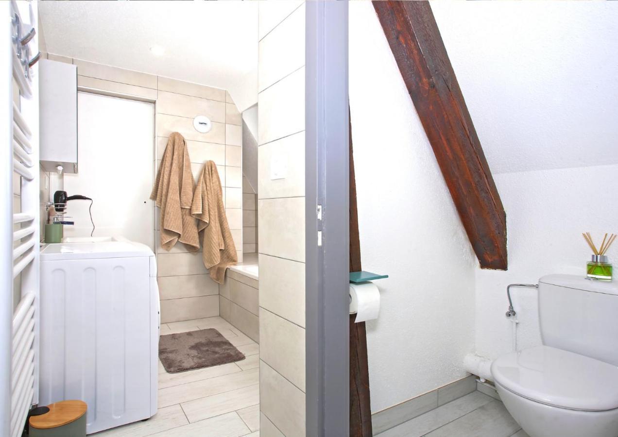 Duplex - Le Cosy - Hyper Centre Apartment Haguenau Ngoại thất bức ảnh